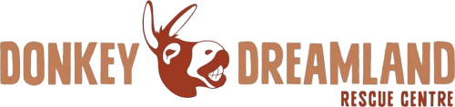 donkey-dreamland